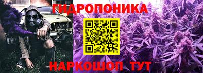 спиды Ачхой-Мартан
