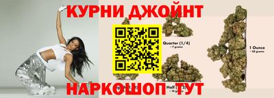индика Аша