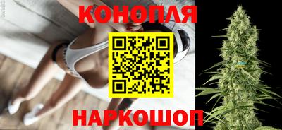 прущие грибы Бердск