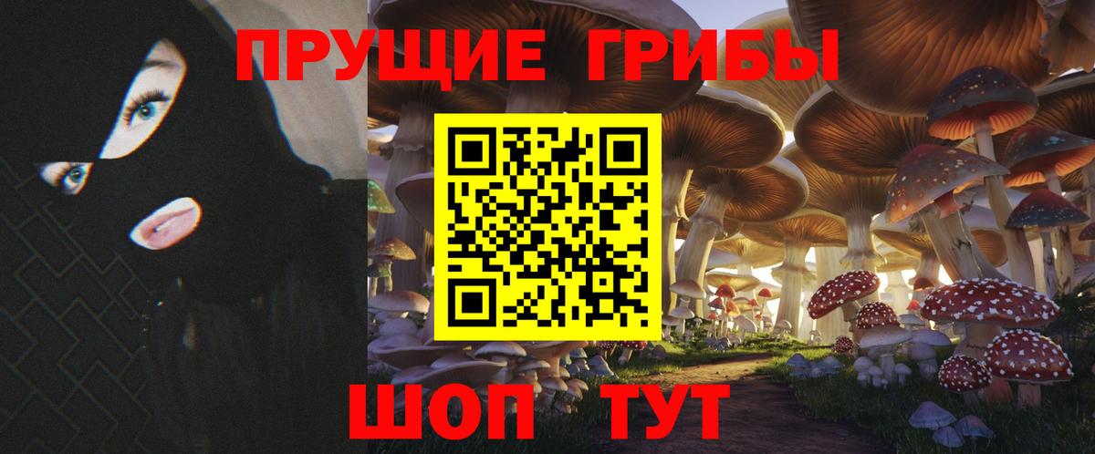 Псилоцибиновые грибы Cubensis  как найти закладки  Магнитогорск  Вход с VPN 