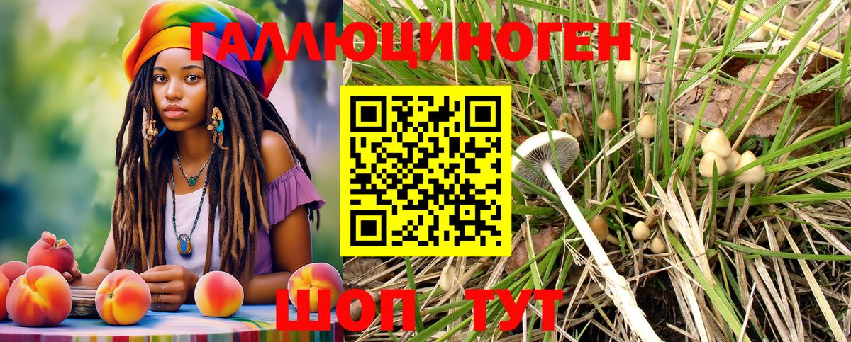 Галлюциногенные грибы Psilocybe Магнитогорск